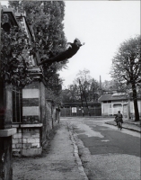 leap into the void 1960